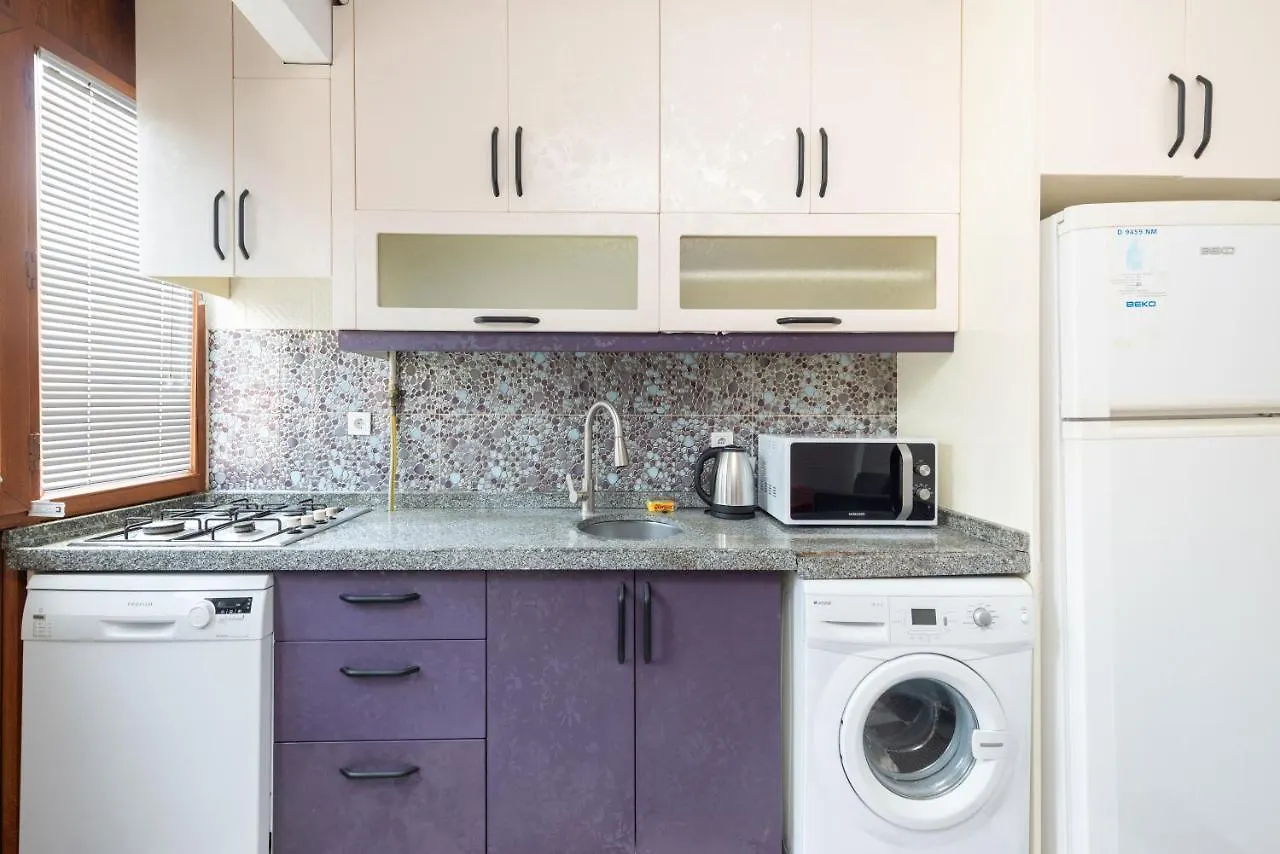 Denizpalaceapartment Istanbul Apartment